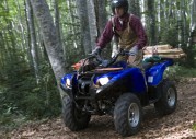 Yamaha Grizzly